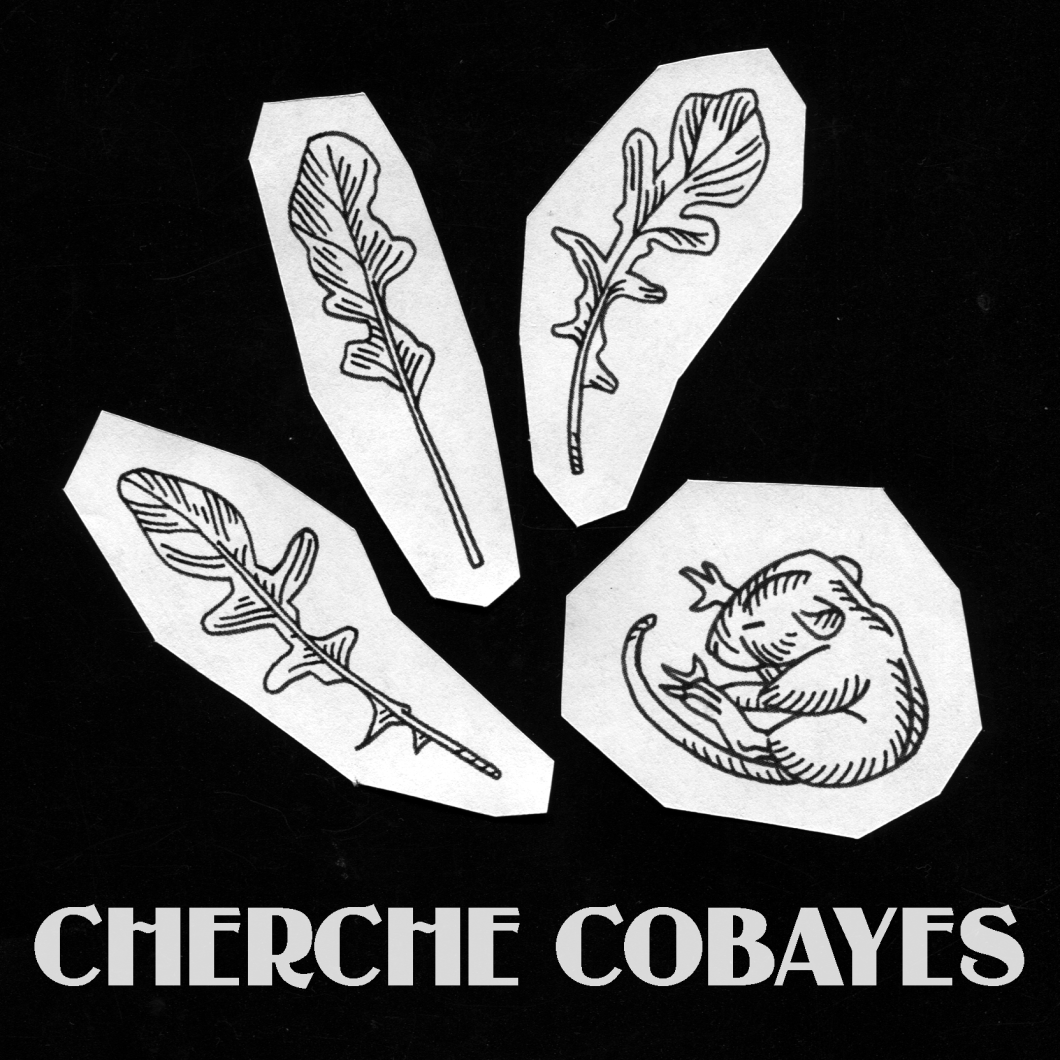 2018-08-24---souris-roquette-(cobaye)