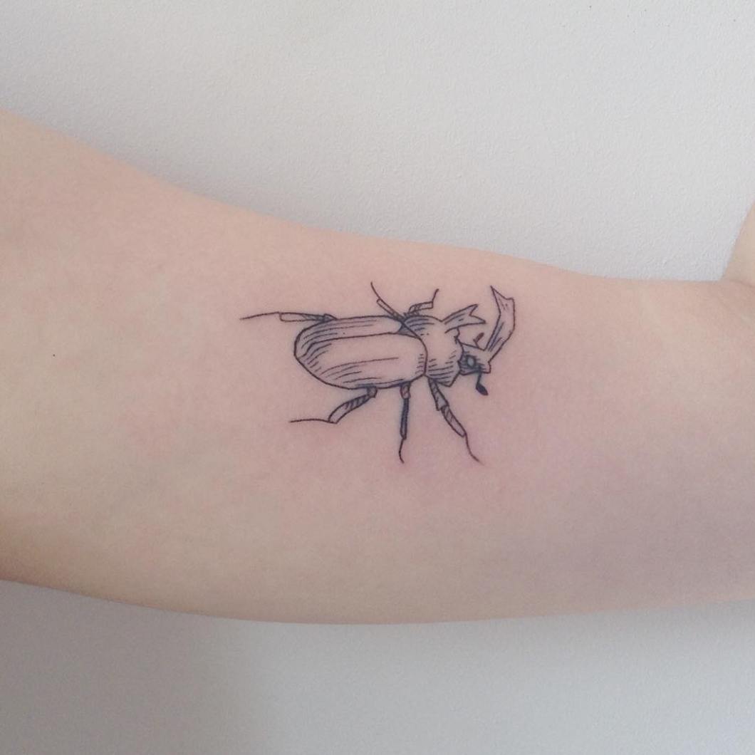 31788449_195660237724234_6311342660653154304_n