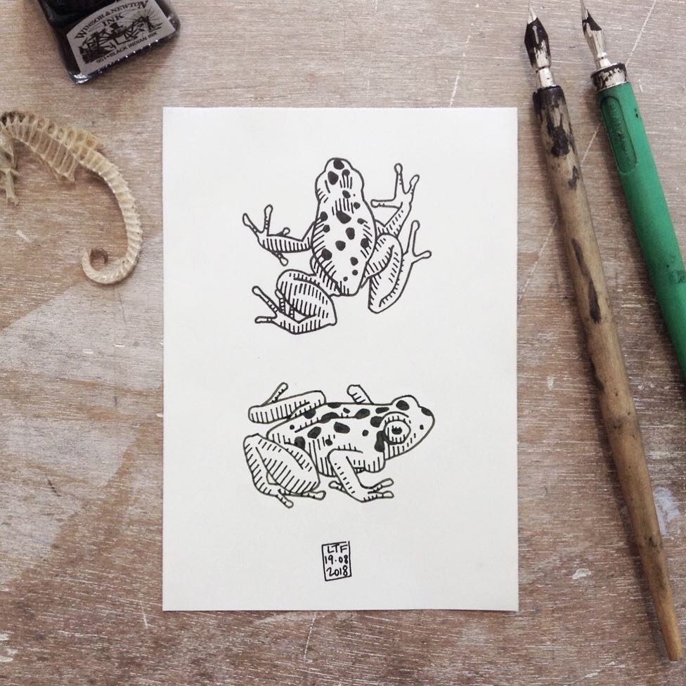 39011809_222234561788511_1801269783128178688_n