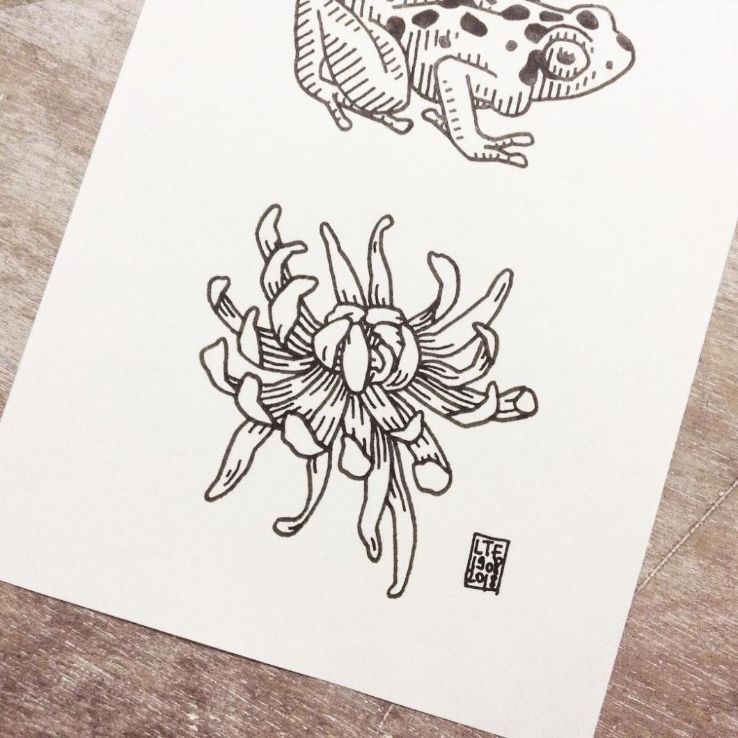 39269302_289590841817350_1106170643855966208_n