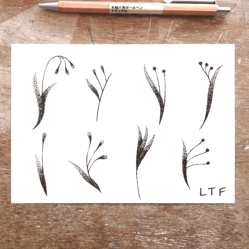 2018-09-20-petites-plantinettes-ombrées