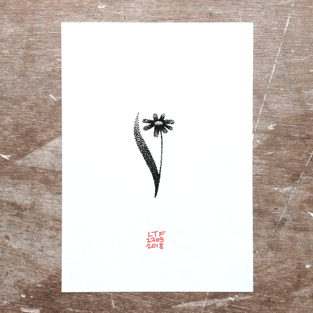 2018-09-27-marguerite-ombrée