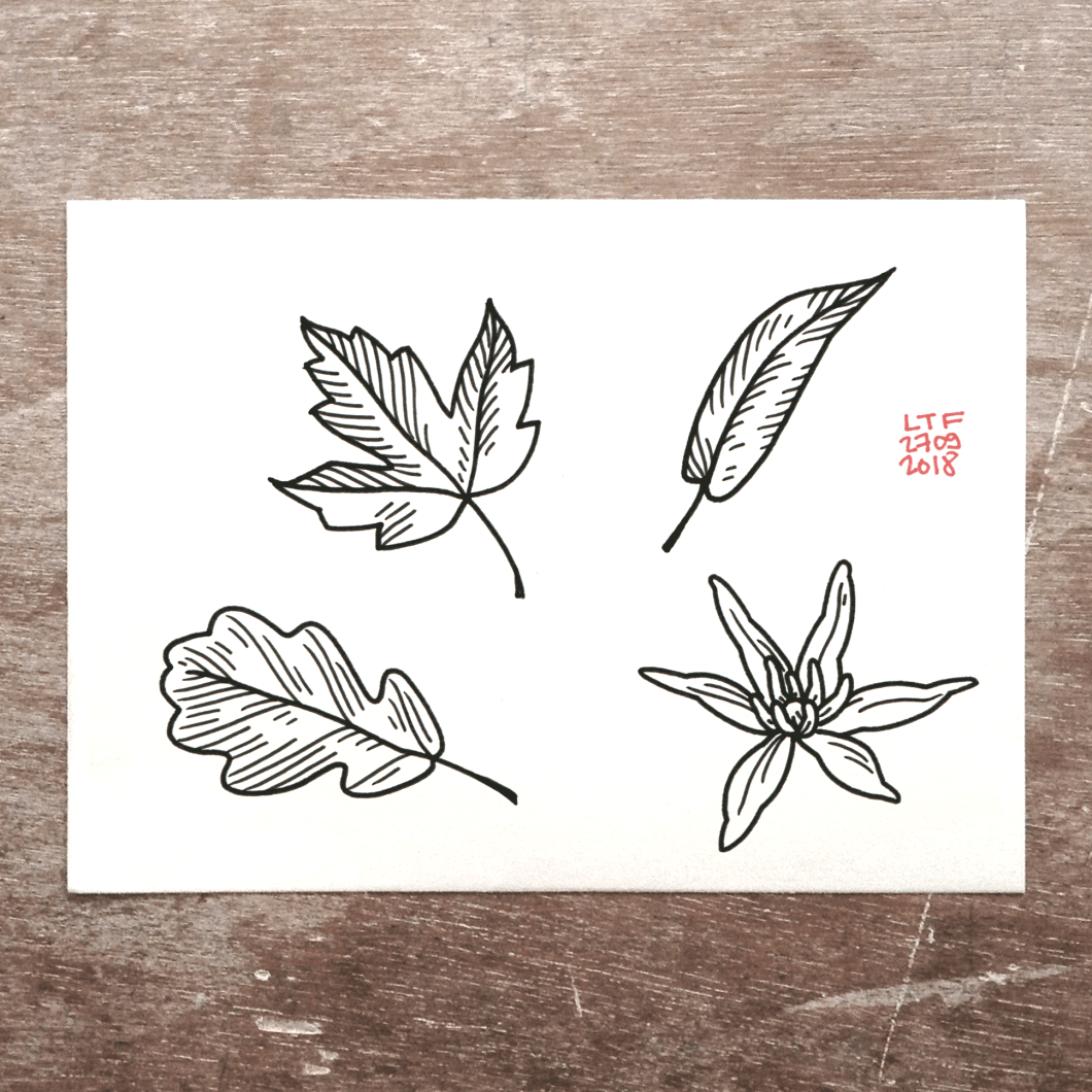 2018-09-28-ail-des-ours