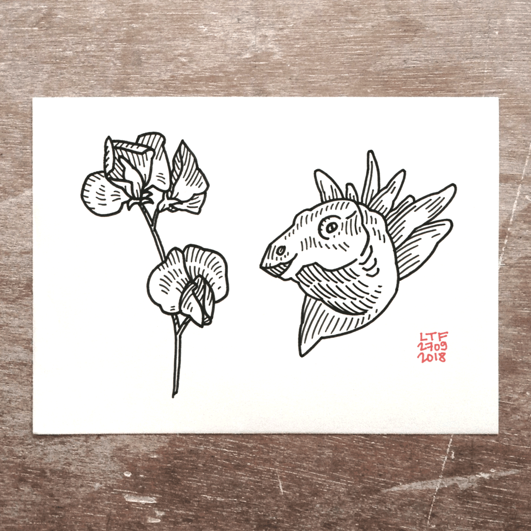 2018-09-28-stegosaurus