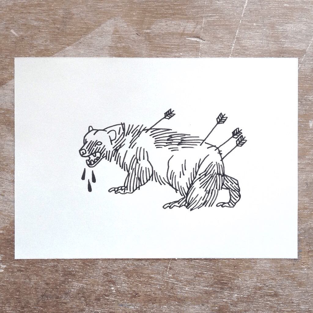 40212684_259982754652792_5848915013757613933_n