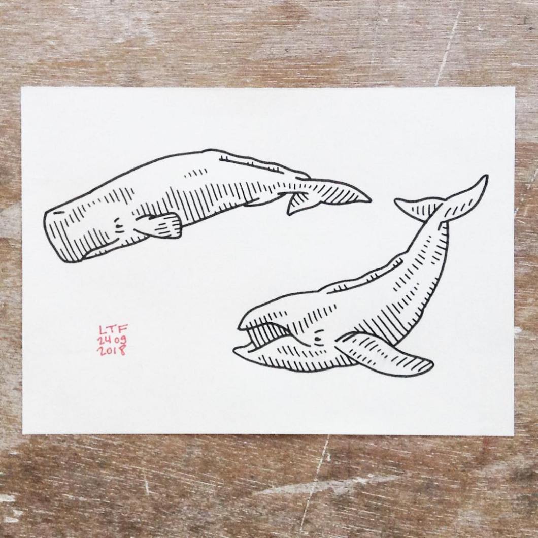 40998577_309709376478421_3745789634906185226_n