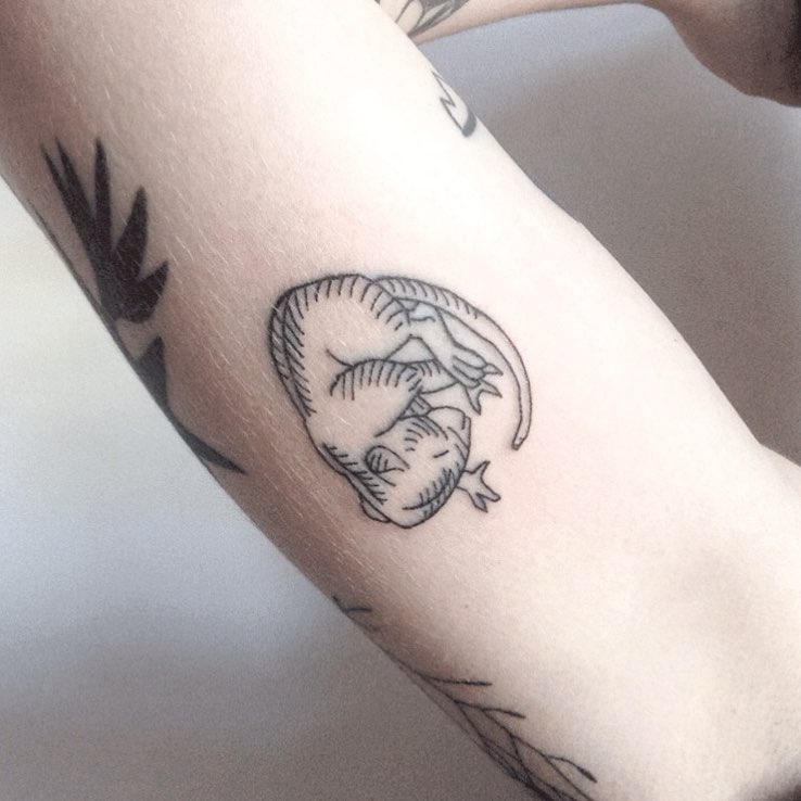 41767541_339444540145802_4782612504494419513_n