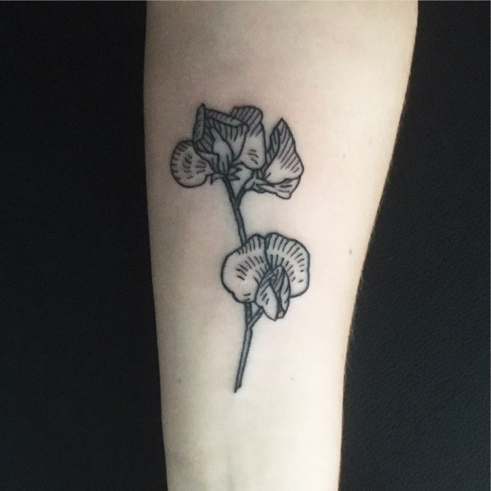 41926658_246252839373192_9034711404628455627_n