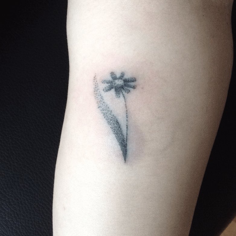 42004004_2207923049249212_3216334148865645656_n