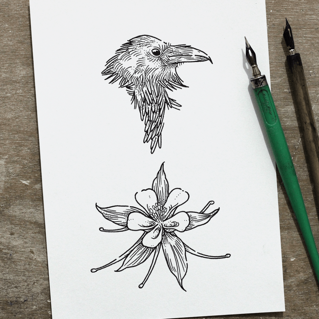 flash corbeau ancolie copie