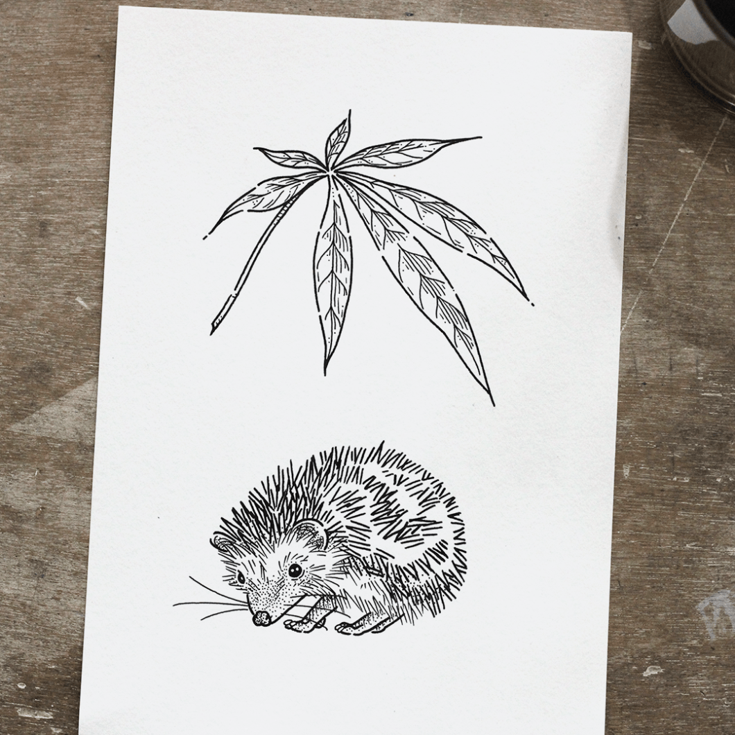 flash herisson cannabis 1